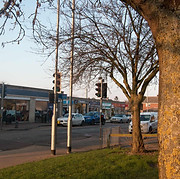 cherry hinton.jpg