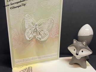 Live de mardi dernier "Papillons et Colorisation"
