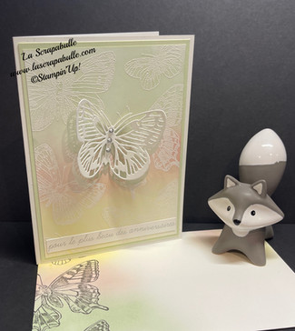 Live de mardi dernier "Papillons et Colorisation"