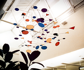 GE Plastics Law Offices