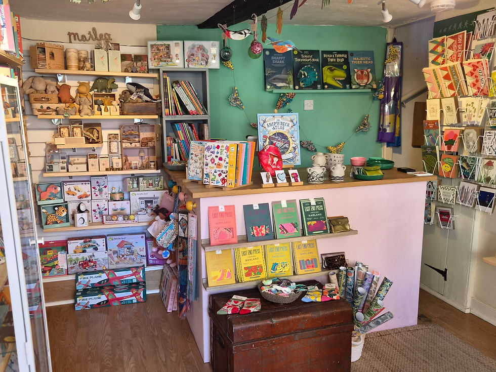Colourful interior of One Fox in Aylsham, with books, cards, toys and gifts on display