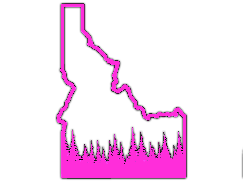 Thumbnail: Idaho Pines