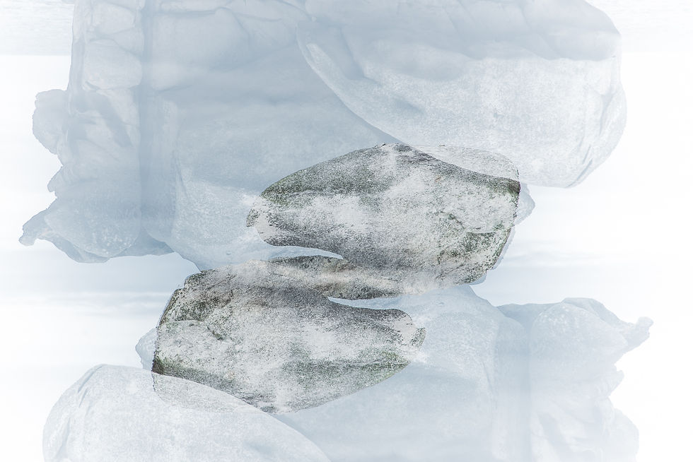 "crashed out world" -08-