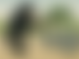 Maior ataque DDoS registrado tem o Brasil como uma das principais redes para sua execução.