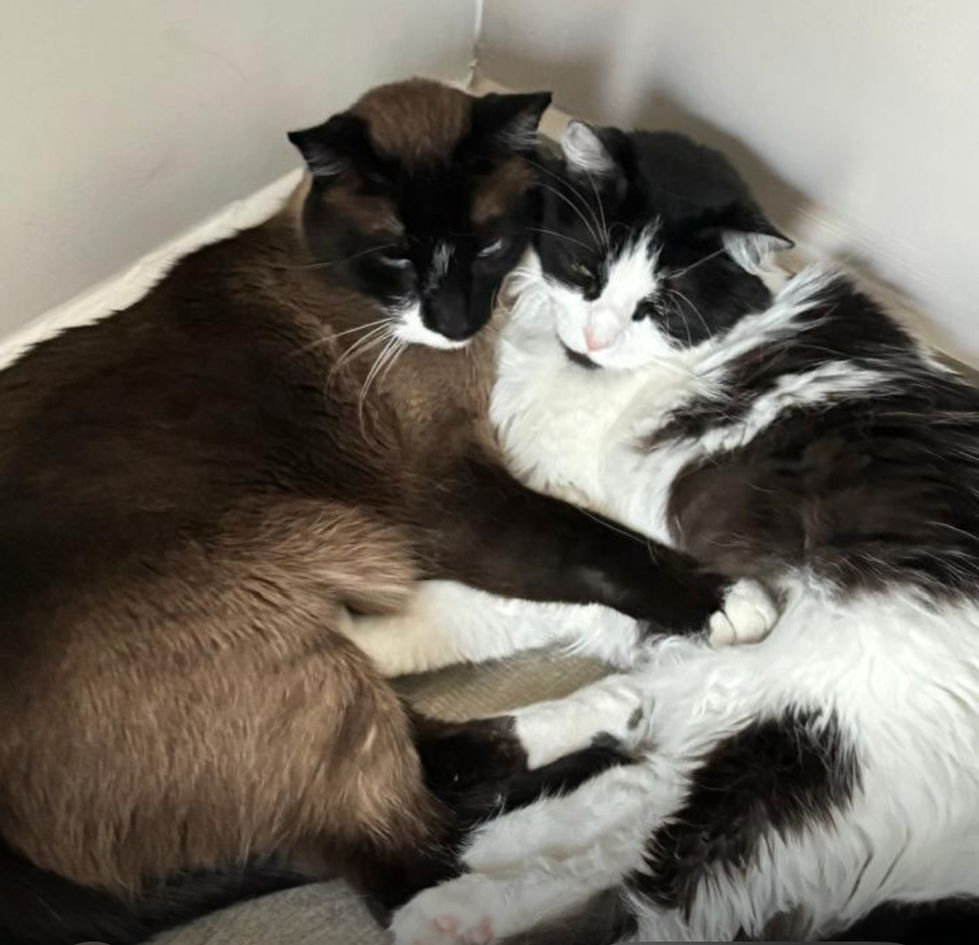 Luna y Muñeco de Karime