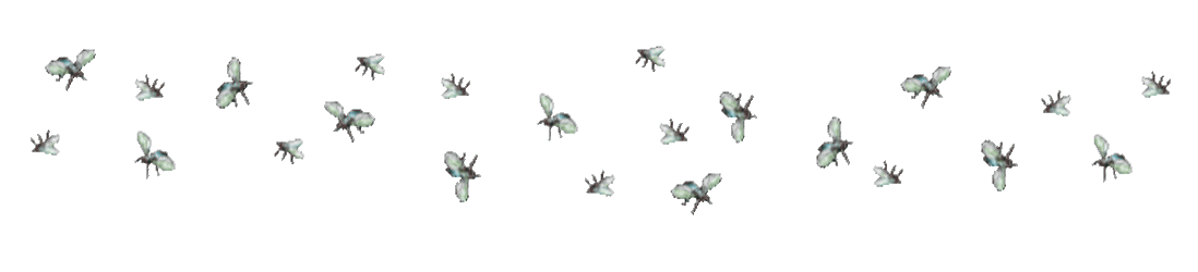 KindlyFatHorsechestnutleafminer-size_res