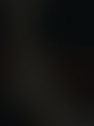 The Black Silence - "Best Cinematography"