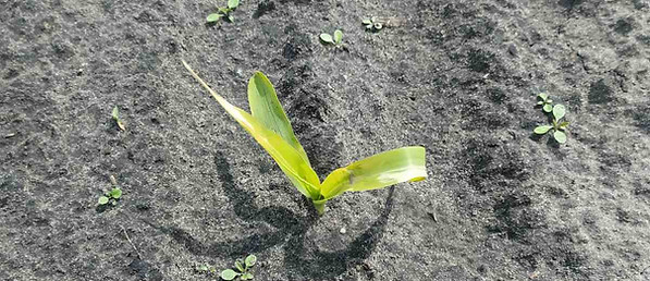 IMG-a408d041992243a4136997074754754f-V.j