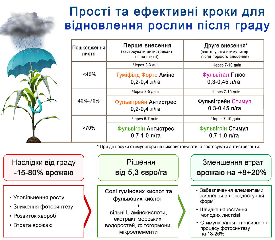 Град, пошкодження рослин градом, наслідки граду. після граду, гумат, стимулятор, антистресант