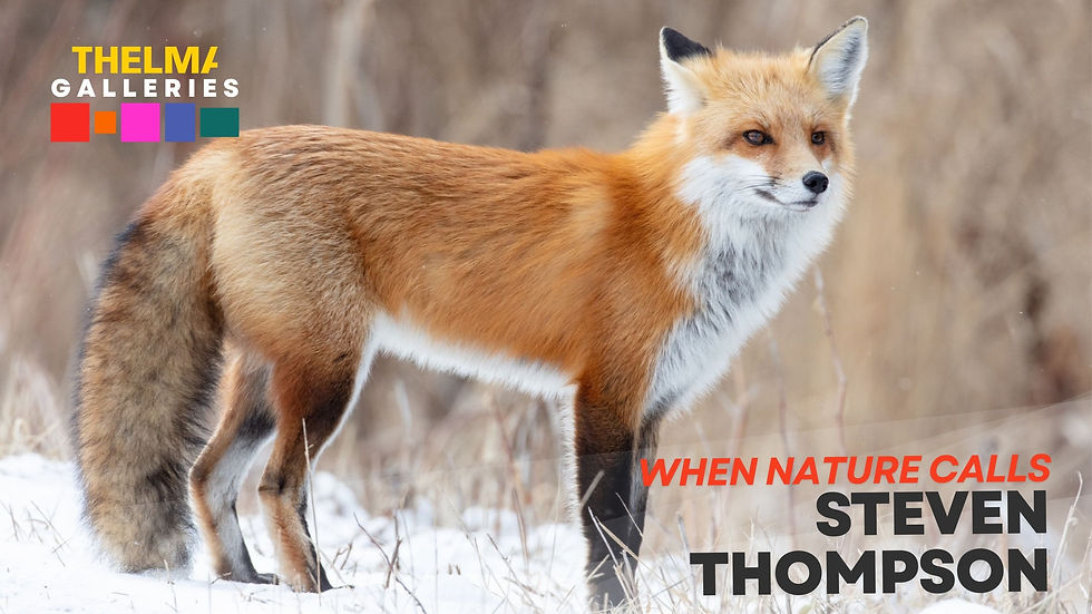 Exhibition | Steven Thompson: When Nature Calls