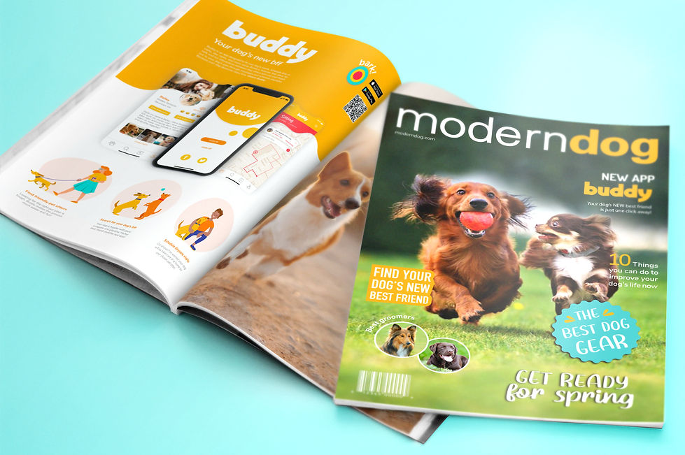 Magazine Mockup.jpg