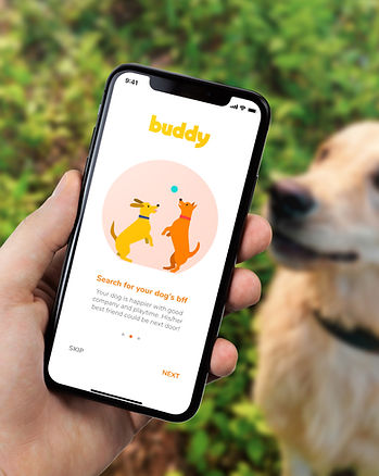 Buddy_2.jpg