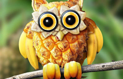 15-amazing-animal-fruit-art.jpeg
