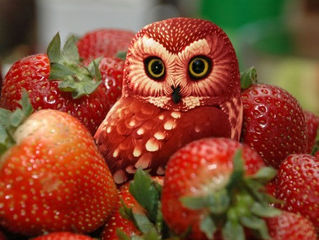 fruit animals
