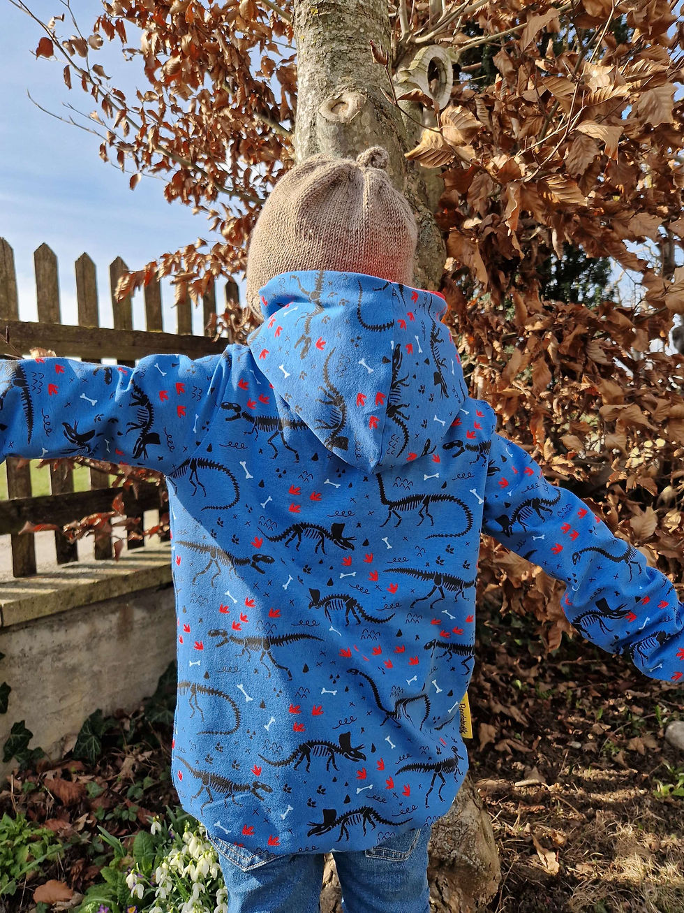 Miniaturbild: Hoodie  Dinosaurier Skelett 