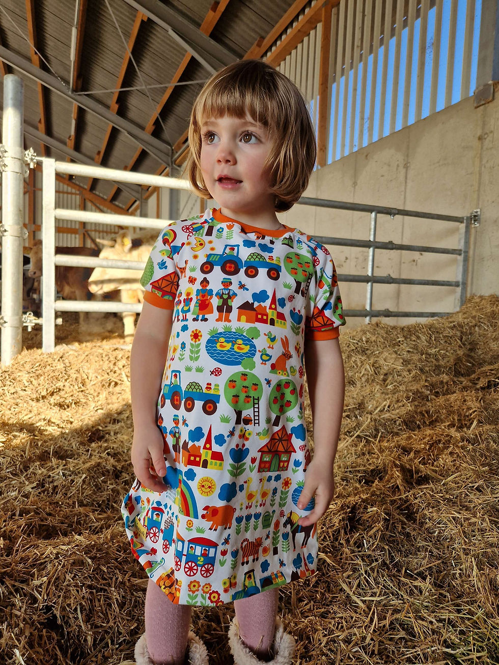 Miniaturbild: Raglankleid Bauernhof