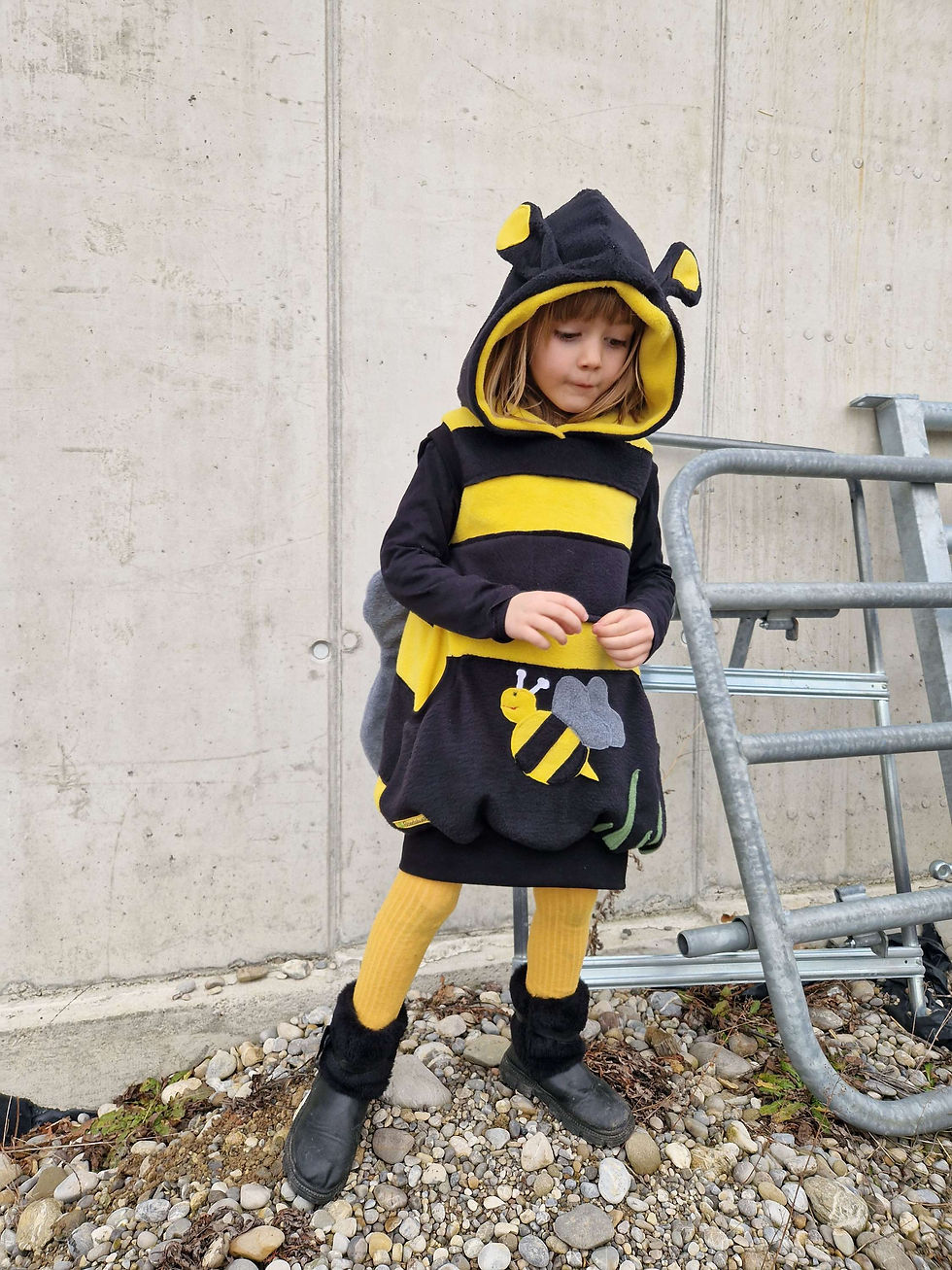 Miniaturbild: Kostüm Hummel 