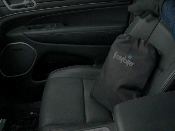 VIDEO - Frostbite Windshield.gif