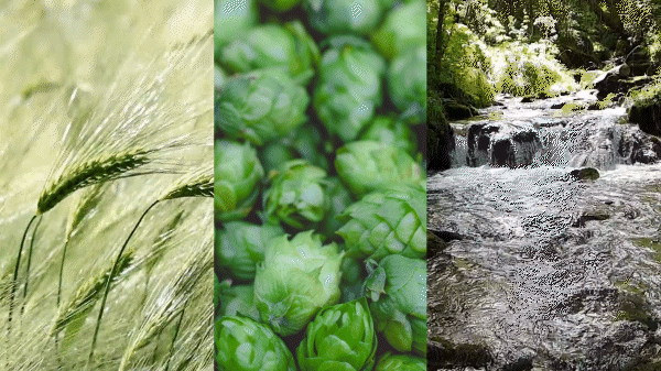 01b-AE Layer Masks.gif