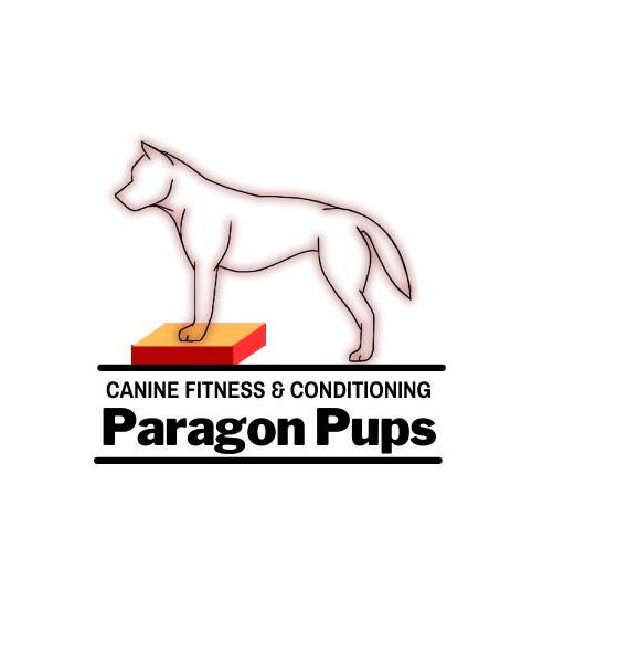 Paragon Pups.jpg