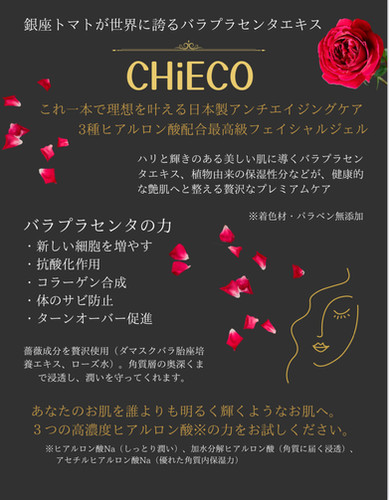 CHIECO ALL IN ONE MOISTURIZING GEL | C.A.J.KATSUNO