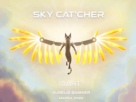 Sky Cat'cher