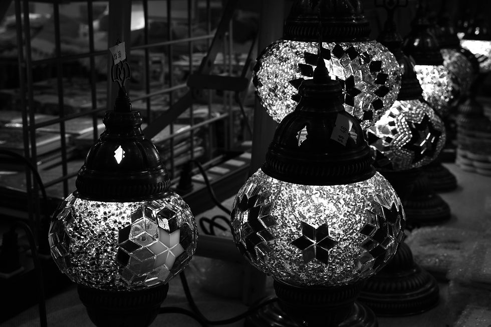 My most successful image has to be the black and white image I took. I think it's the best because of the overall composition; I didn't stick to a specific composition, but I do think the black and white gives it an aesthetic tone. I believe the most difficult aspect of the assignment was attempting to categorize some of my images; there were so many to choose from, and many of the photos had to be retaken multiple times. I believe that in order to strengthen this photo, I should edit it more closely; becoming more familiar with my editing software and making it appear softer and less sharp would benefit the image.