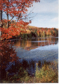 Fall at Beaver Valley