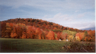 Autumn