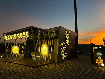 Mantorose