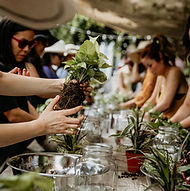 iStock-1656669732.jpg