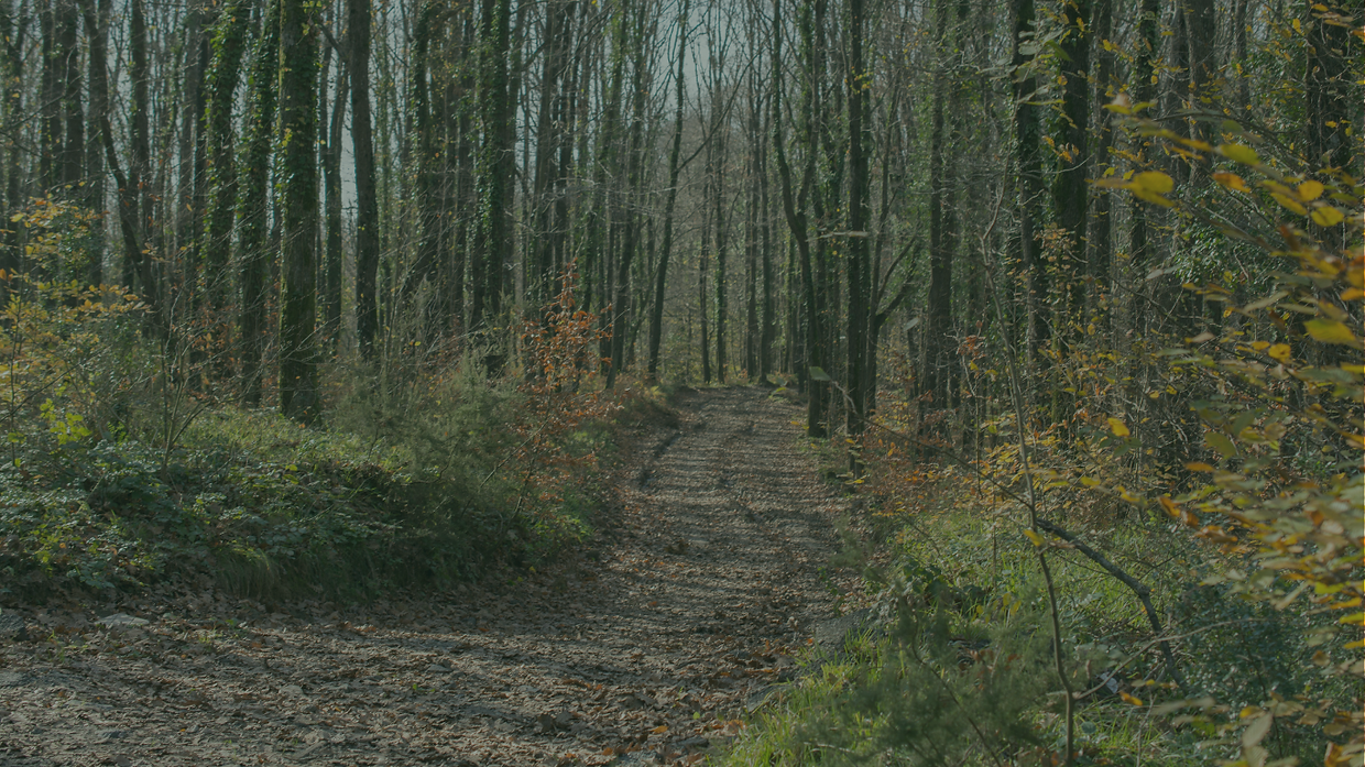 Brian Morrow life coach.png