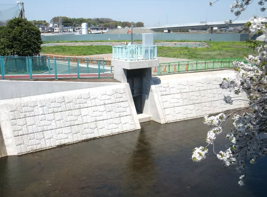 shimotsuchidana