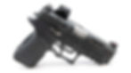 Behind this P320 X-Compact L2D Combat/Icarus precision build the P365 Fuse still looks smaller.