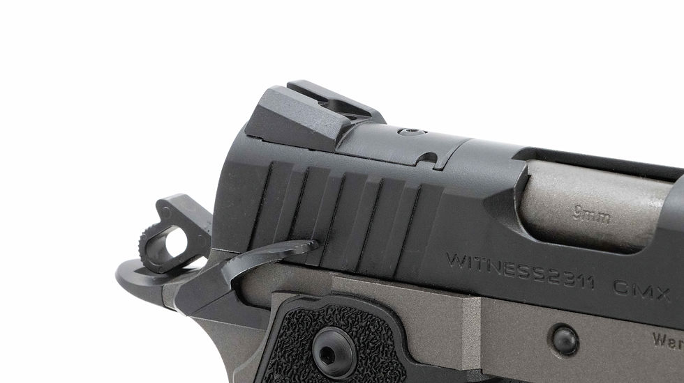 Your choice is a rear sight or an optic on the EAA Girsan Witness 2311 CMX XXX. Fortunately there are many optics which include redimentary rear sights.