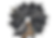 ree