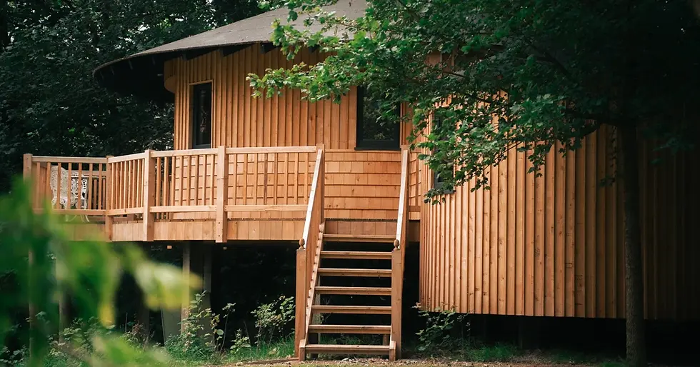 Eco Treehouse Outside 2.jpg
