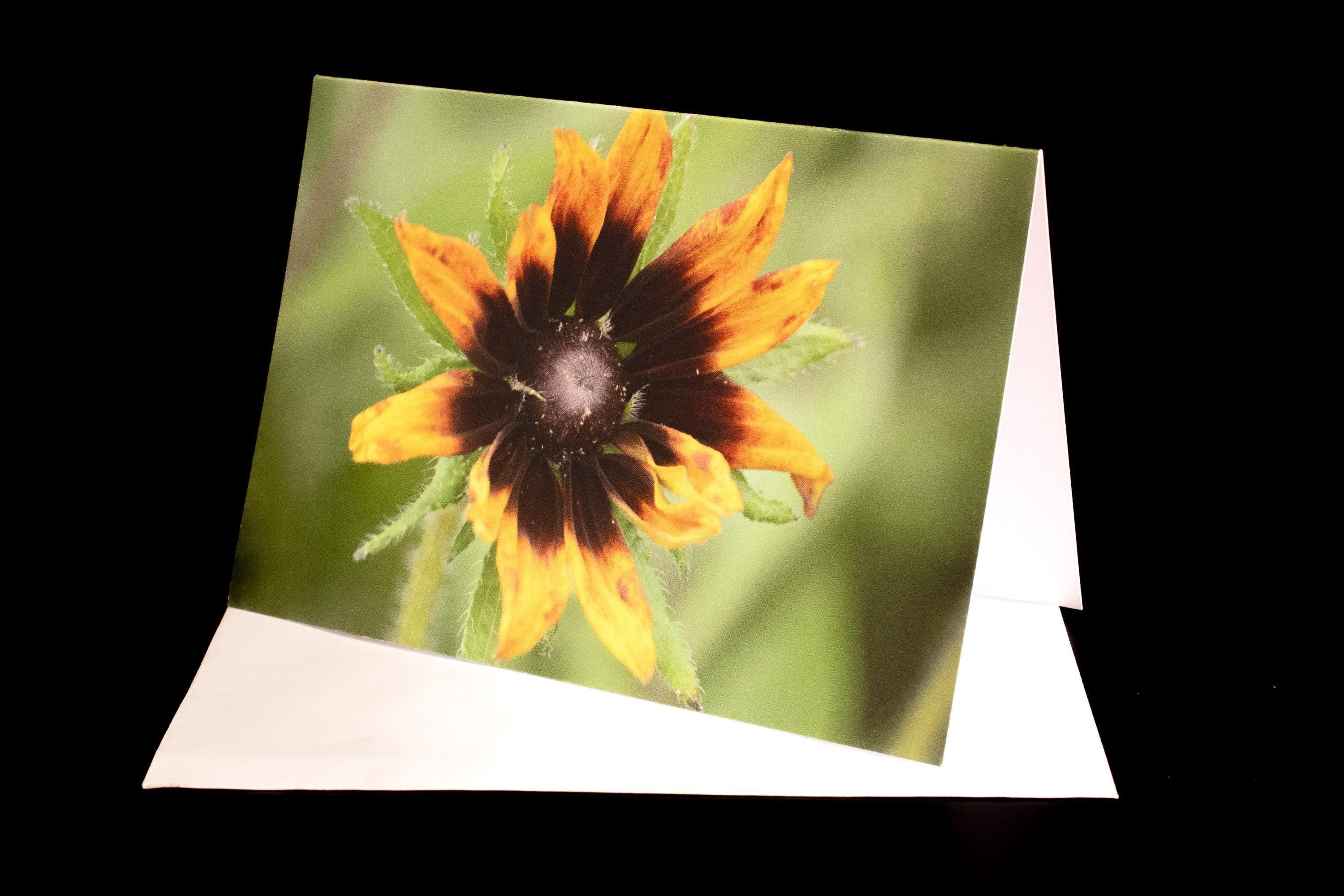 A6 Flower Photography Recycled Greetings Card