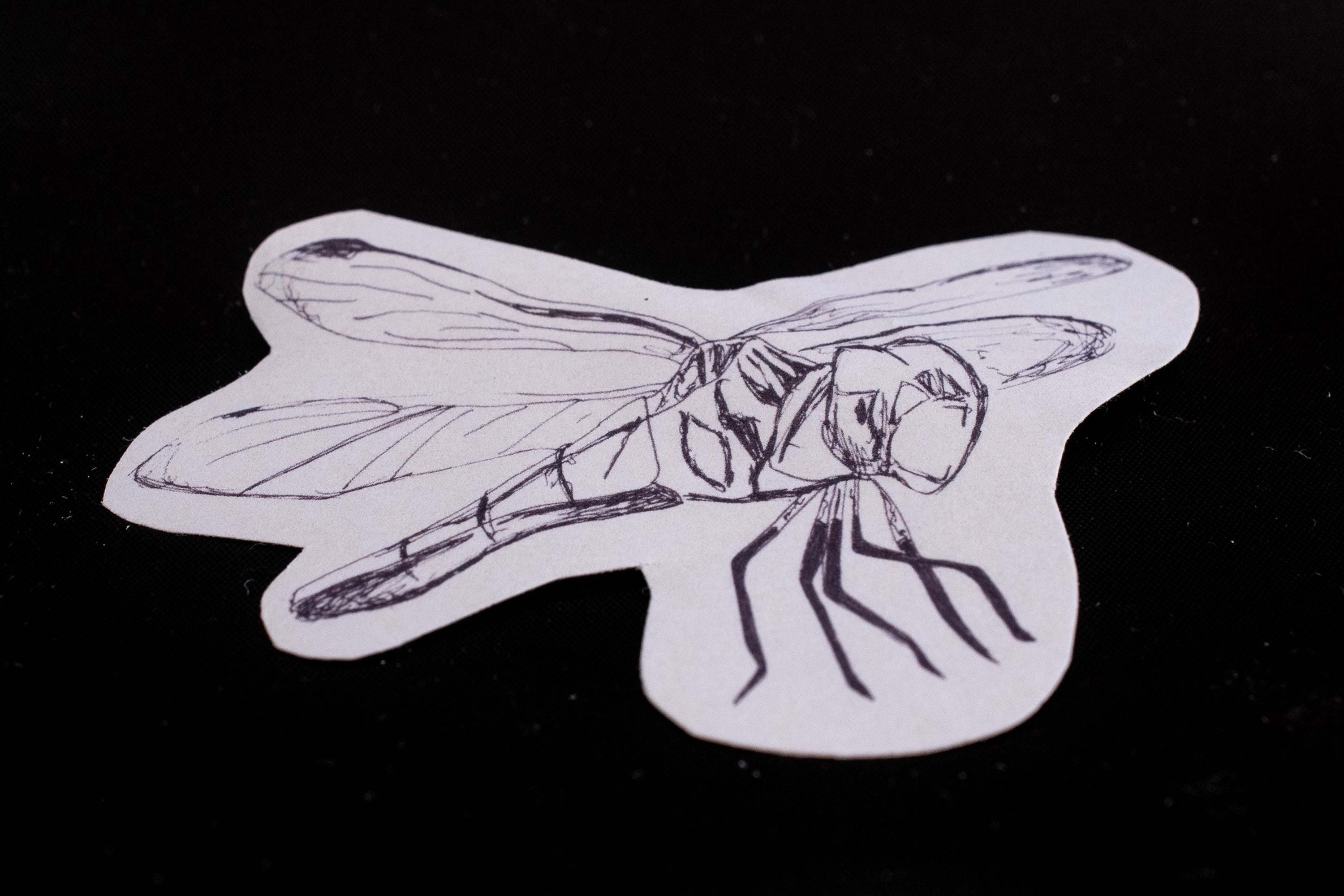 Dragonfly Ink Watercolours Drawn Sticker on Recycled Paper, Dragonfly Gift