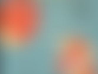 L'OHSP en Alsace le 11 avril 2026