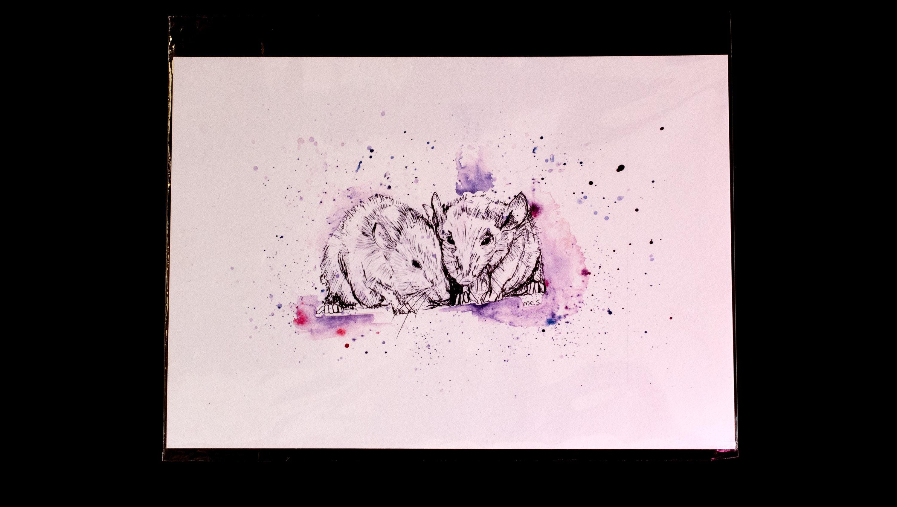 Field Mice Ink Drawn Art Print on Recycled Paper, Field Mice Gift