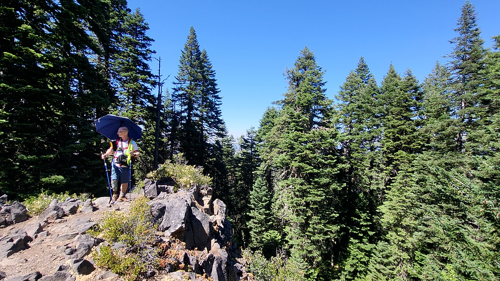 Grizzly Peak summit with views blocked by trees and author looking disappointed.