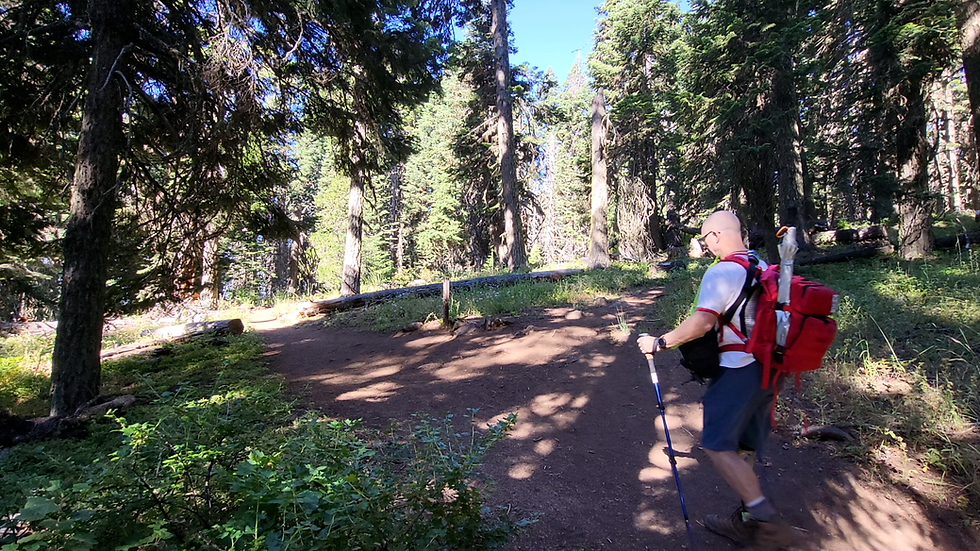 Glenn arriving at the Y intersection of the Grizzly Peak lollipop loop trail.
