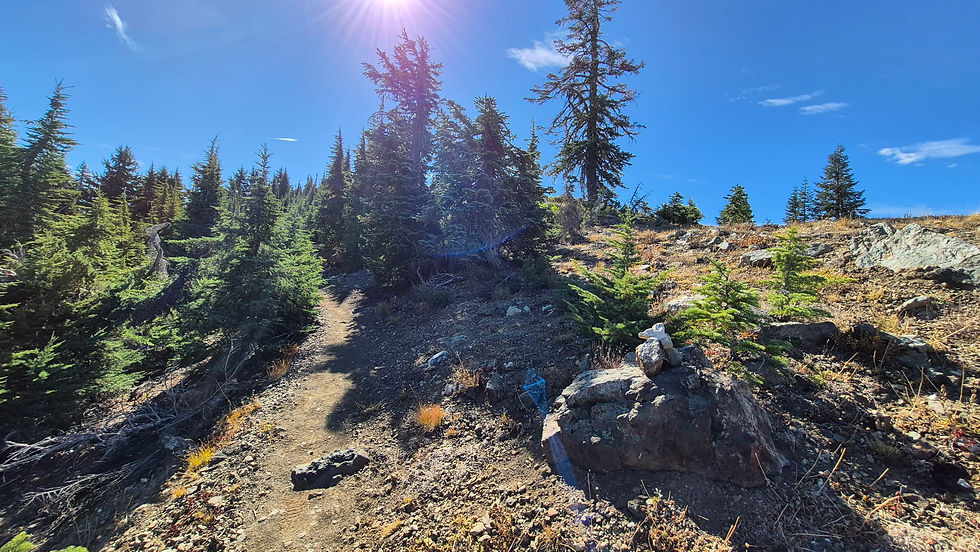 The Pacific Crest Trail at the two mile mark showing the boulder on the right with a small cairn. It's at this point you turn right to continue up to Observation Peak.