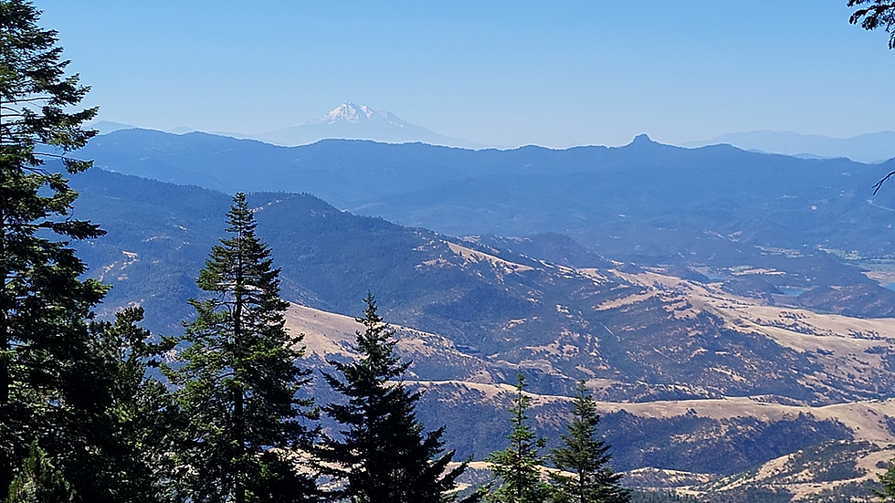 View of Mt. Shasta from the sneak peak social trail off the main Grizzly Peak trail.