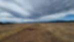 The dirt airstrip on Lower Table Rock, overgrown since the 1970s. 
