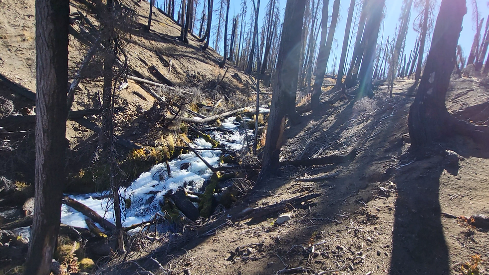 The Rogue River rushing through a ravine with a barren landscape on either side of the river.