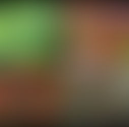 Poison Oak and How to Spot It, Avoid It, and Treat It