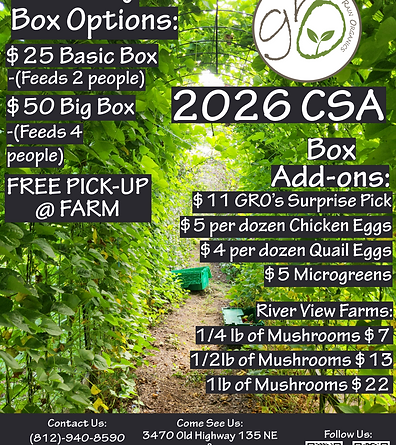 CSA Flyer 2026 (1).png