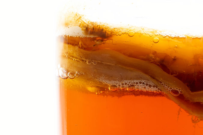 Anaerobic fermentation process of black tea kombucha, the CO2 gas bubbles that are produce